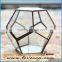 Polygonal geometric glass terrarium wholesale container