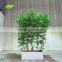 GNW BAM160928-002 New Products Artificial Bamboo Tree Decoration Bonsai Wholesale