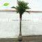 GNW APM011 10ft High Artificial Palm Tree UV Resistant Leaves Outdoor Landscaping Decoration