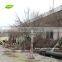 GNW WTR1102-2 Wood branches dry tree for indoor use garden decoration