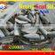 FROZEN ROUND SCAD HGT