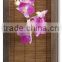 Japanese SUDARE bamboo blind wood screen retractable blinds made in Japan