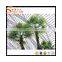 Wholesale Outdoor&Indoor artificial palm trees artificial palm tree leaves and plastic palm tree