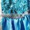 Frozen Elsa dress wholesale Frozen girls dress party dress Frozen Elsa dress cosplay