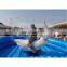 inflatable shark ride
