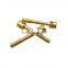 Brass Stainless Steel Metal Electricity Meter Lead Screw Sealing Screw