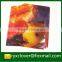Factory derictly wholesale L shape a4 size file folder pp stationery