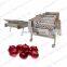Grading Machine Melon Fruit Sorter Grader Mandarin Orange Apple Sorting Machine