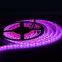 Commercial Dream Full Color RGBIC DC5V Magic Digital No Light Point 1008/m Smart Addressable RGB COB LED Strips