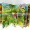 FDT customizes CMYK animal kids 3D pop up book printing