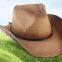 Fashion western Cowboy hat outdoor sunscreen fishing straw hat summer sun hat