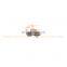 Foton Auman/Aumark/Miler/Land Pioneer Weichai Engine Gearbox Zf/Fast Truck Spare Parts 614080295a Fuel Oil Filter Assy