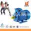 Weiye Cast Iron Body Three Phase Universal Motor With Water Pump Made In China