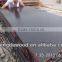 Romania market film faced plywood