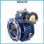 Vibrator motor UDL series Industrial Mechanical Variable Stepless Speed Variator