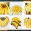 Leader banan skin peeling machine Whatsapp:+8618336073732