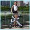 llightweight pocket bike two wheel chainless mini folding electric bike