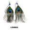 Indian natural peacock feather and grizzly feather earrings