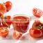 Factory supply high quality canned tomato paste ,double concentrated