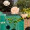 Hot Sale Cheap Hanging Colorful Paper Decorative Pom Poms