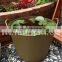 garden pot for planting water plant,flexible PE buckets,plastic water buckets,Colorful bucket