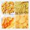 250kg/h industrial fried pellet processing line