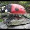 Insect Model for Sale Coccinella Septempunctata