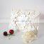 Champagne gold pocket elegant wedding invitation Customized Cheap Wholesale Card