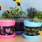 DIY CHALKBOARD PAINT FLOWER POTS
