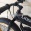 Rear Drive fat tire electric bike front fork with high performance