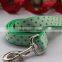 Fresh Small Broken Flower Pattern Pet Collar & Lead