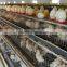 poultry battery cage system for baby chick and grown chicken