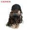 F4/30# Long Curly Hair Wig, 100% High Temperature Fiber Curly Wig for Women