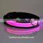 Brazil Distributor Pet Dog Lead Product Flashing LED Dog Collars
