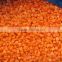 Wholesale fresh frozen/IQF carrot dices 2016 new material ,frozen chinese mix vegetables