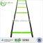Zhensheng agility ladder