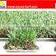 4 colors thick Interlocking Artificial Grass Tiles - Floor Mats
