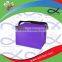 Wholesale non woven picnic insulated food cooler bag