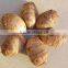 New Arrival China Fresh Taro Low Price High Quality