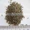 Spices & Herbs Products Black Cumin Seeds