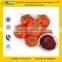 GMP Certified Manufacturer Supply Extraction of Lycopene from Tomato