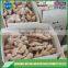 Dried ginger export prices