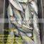 Whole Sale Good Price Indian Frozen Mackerel For Sale