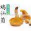 dried mushroom cantharellus cibarius