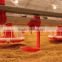 Farming poultry automatic feeding system for Poultry Farming equipment Auto. Feeding pan system