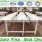 Hydroponic systems greenhouse for agriculture