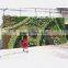 SJ1801204 Artificial plastic garden green fence hedge wall