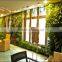 Waterproof excellent green wall factory artificial green plant