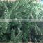 Fire retardant green christmas garlands