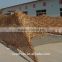 Desert Camouflage Army Camouflage Net with fiberglass poles